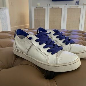 Dolce Vita Blue & Weight Sneakers